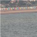 PIC EXMOUTH HUTS